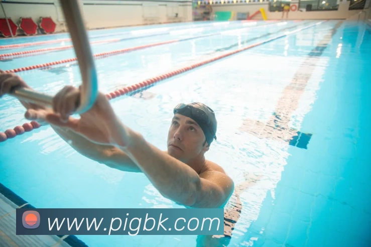 在线买世界杯平台平台生态图